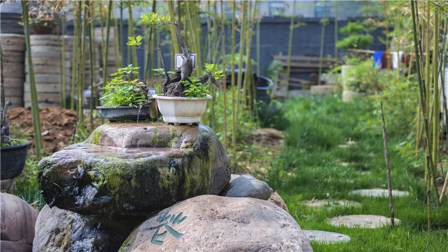 院中园,园中园农家饭庄