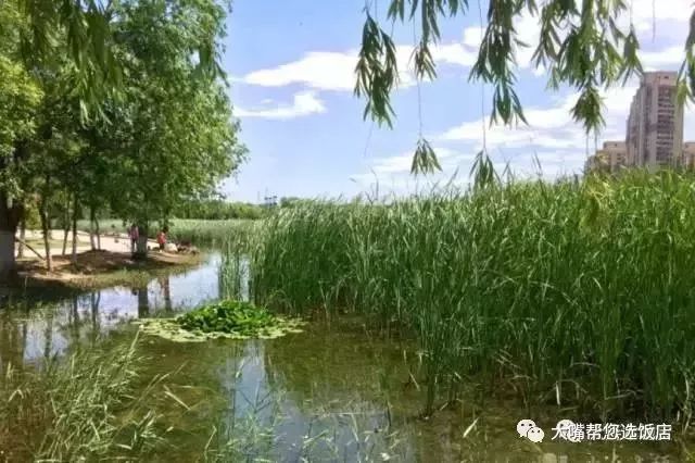 玩转大连森林公园,逛遍大连森林公园