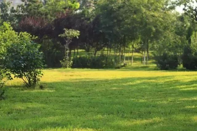 玩转大连森林公园,逛遍大连森林公园