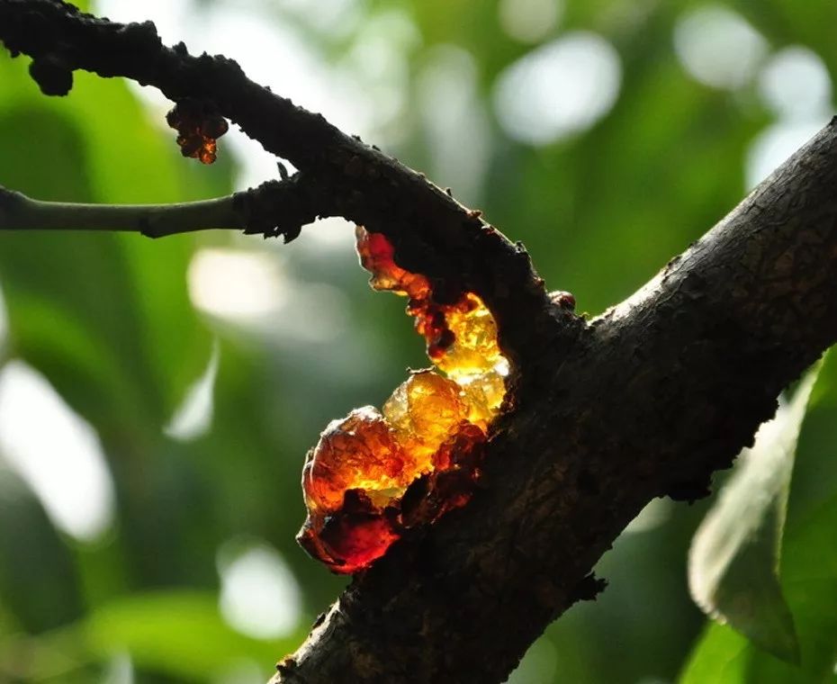 内调养颜原来真的很重要,内调有多重要