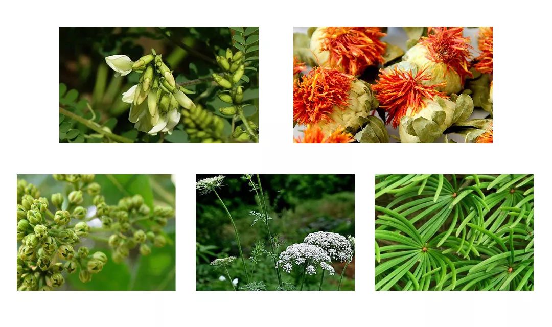 十年脚气怎么治才能除根,十年顽固脚气