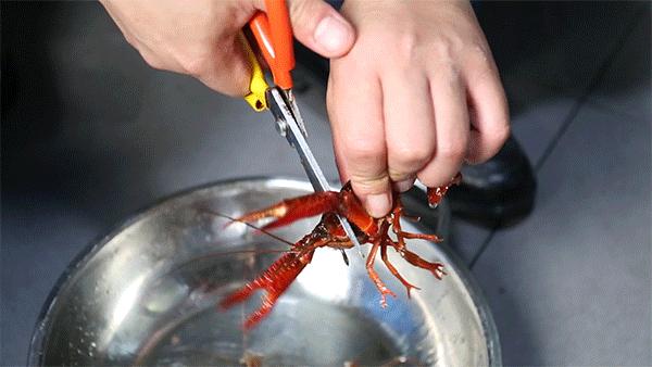 闀挎矙姝ヨ琛楃綉绾㈡墦鍗″湴閰掗,闀挎矙鎾镐覆