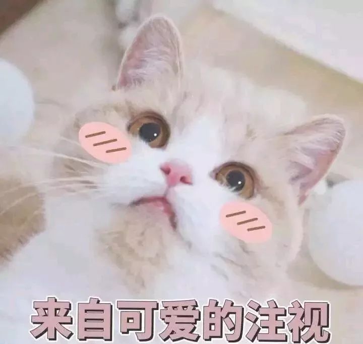 520送礼急救指南！现在买还来得及！！（男女适用版）