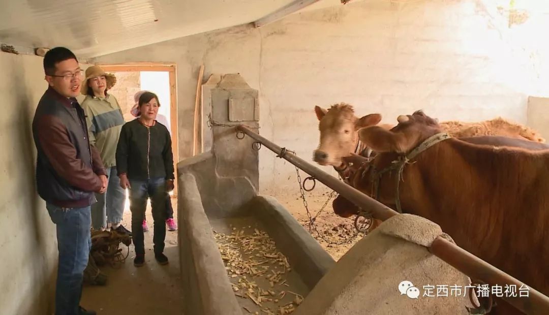 精准发力产业扶贫助力脱贫攻坚,新闻媒体宣传监督助力乡村振兴