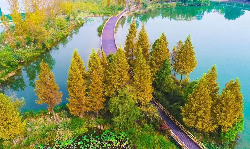 当四川人和重庆人见面,当四川人相遇