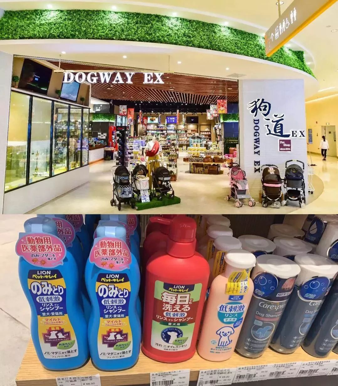 【封面】开宠物店暴利？全案解析宠物洗护美容、食品用品、寄养售卖…揭秘宠物经济令人费解的低收入真相