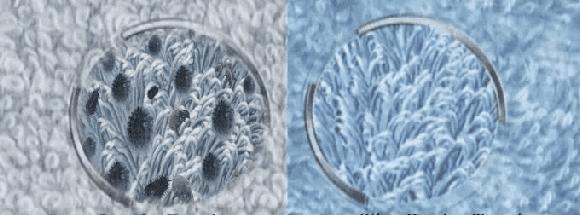 洗脸巾中的爱马仕，长得好看的人都用洗脸巾擦脸了