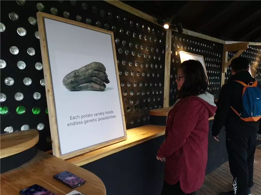 轮胎种植蔬菜,在轮胎里种植蔬菜有什么好处