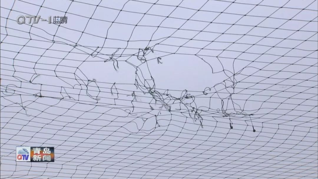 今日聚焦排名,今天关注人数已达到上限怎么办