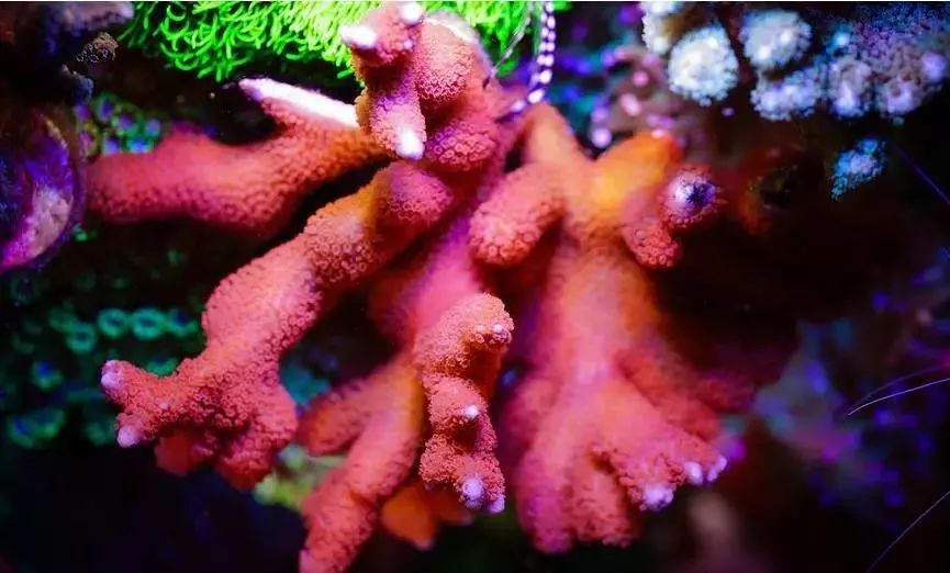 哥稳住啊，千万别在执迷不悟了！！