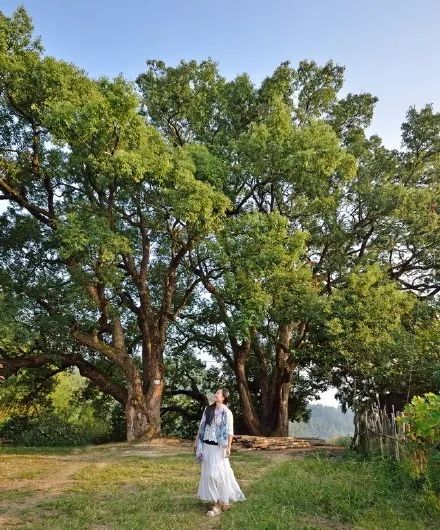 南平除了武夷山还有哪些景点,福建南平市武夷山风景区游记