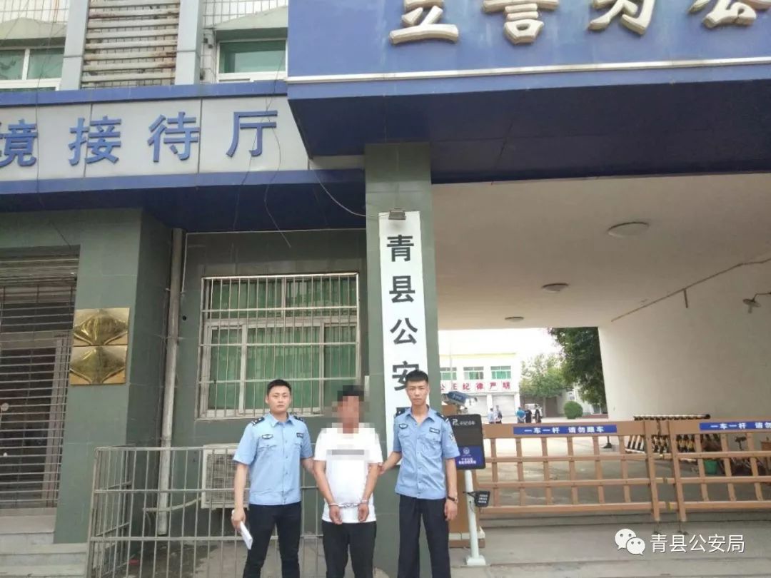 青县诈骗案件,青县诈骗最新