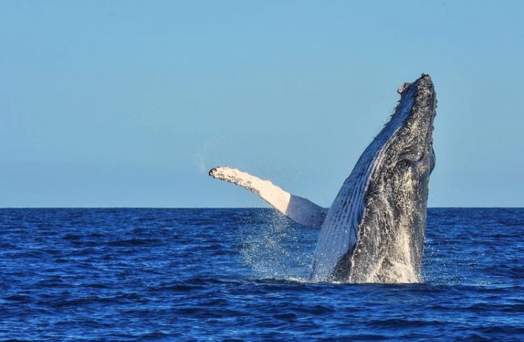 电子签又一国！海景堪比马代，物价却比泰国还低！直飞碾压朋友圈99%好友