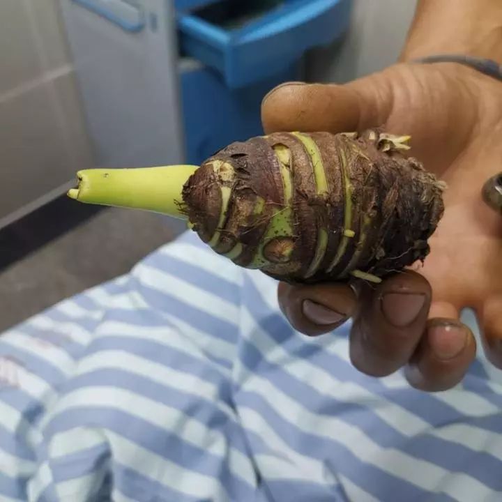 碰一下就会中毒的物质有哪些,毒物碰一下就中毒