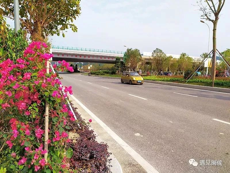 闽侯兜风,兜风去了原视频