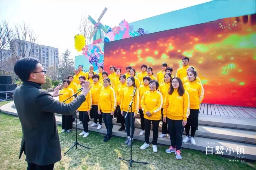 白鹭小镇夏日系列,白鹭小镇活动