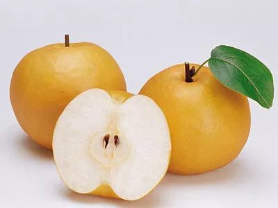 喉炎咳嗽和普通咳嗽的区别,耳鼻喉痒是过敏引起的吗