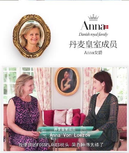 丹麦皇室用什么枕头好 (丹麦最好用的枕头)