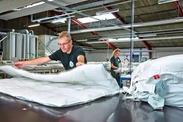 丹麦皇室用什么枕头好 (丹麦最好用的枕头)