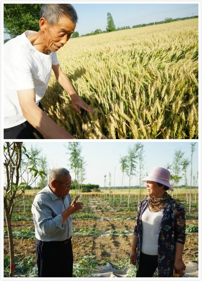 聚碳酶,聚碳补酶丰产方案