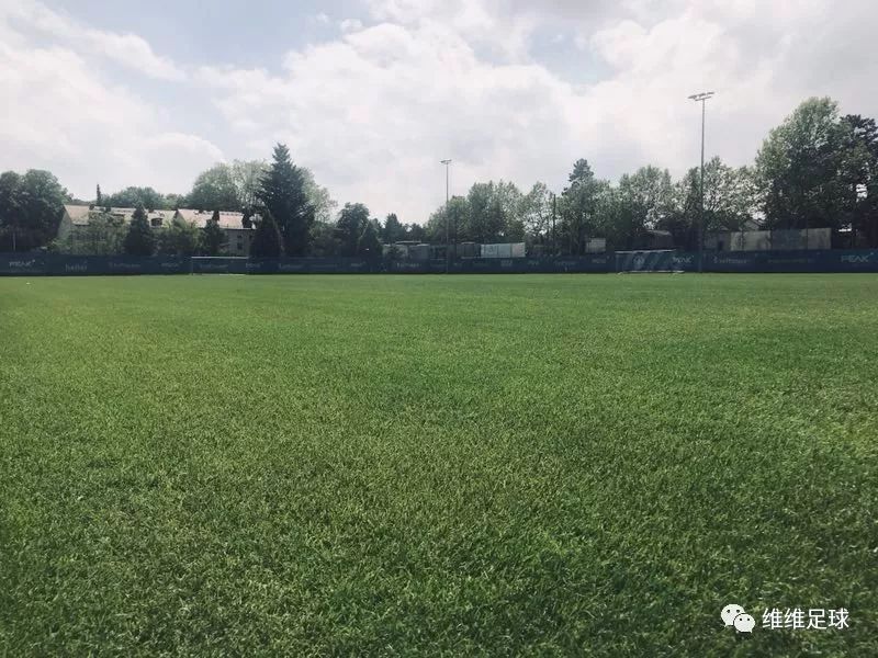 黑娃教练深受厚爱,黑娃教练