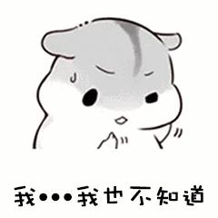 林允的命运,林允为什么这么美貌