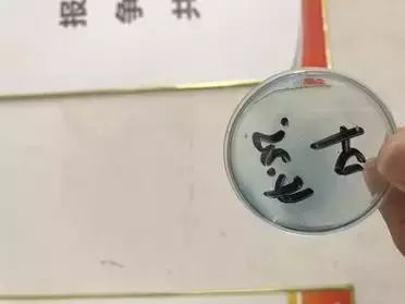 弧菌-水产养殖的杀手，而它是弧菌的最佳克星！