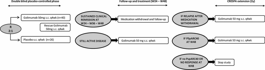 CRESPA研究:戈利木单抗诱导治疗早期外周型脊柱关节炎的无药缓解率高|风湿007第6期