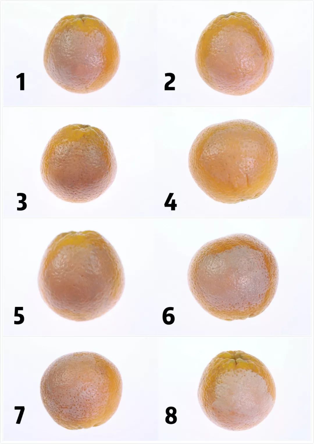 妆效比较好的气垫,气垫哪一款持妆效果好