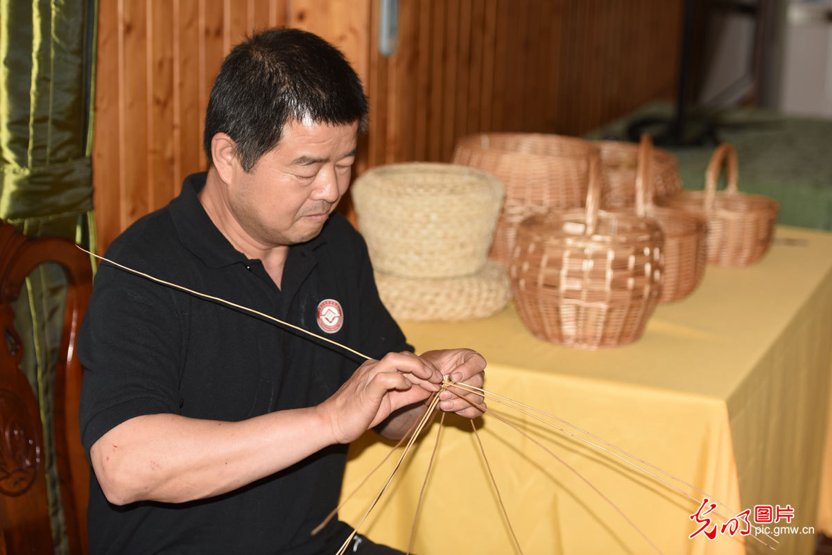 采摘桑葚也是一种乐趣,采摘桑葚的乐趣感想