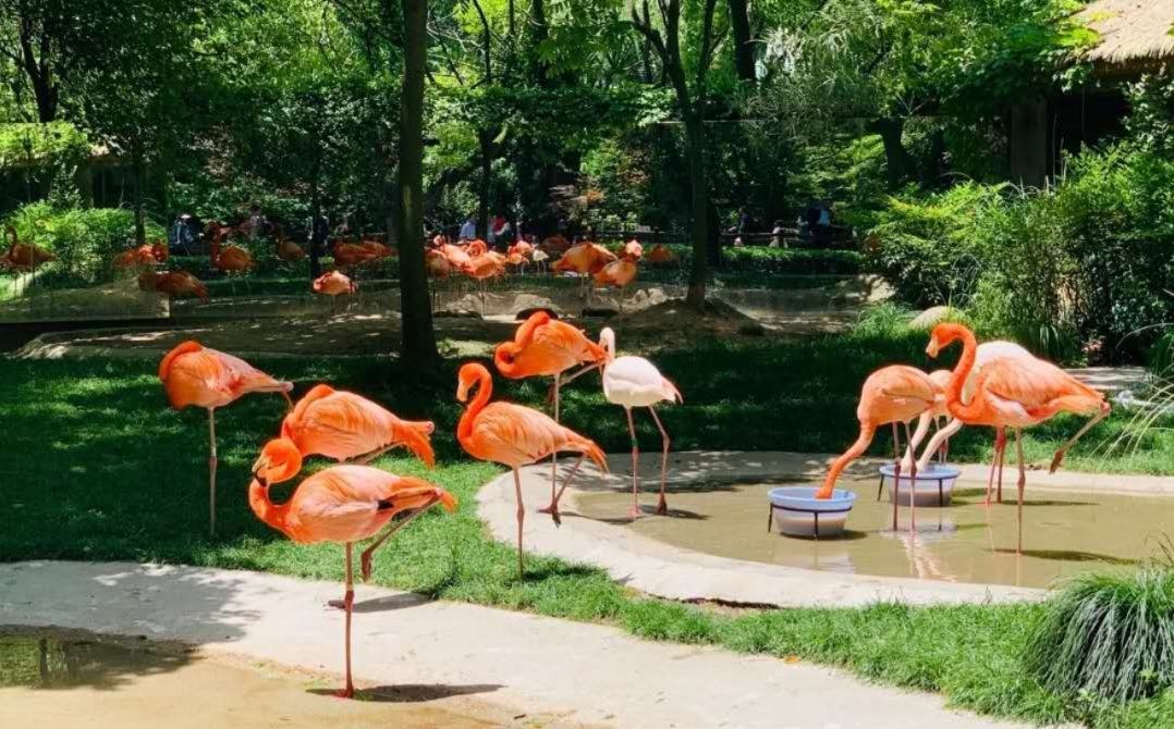 10号线沿线好玩的地方,有哪些城市有10号线