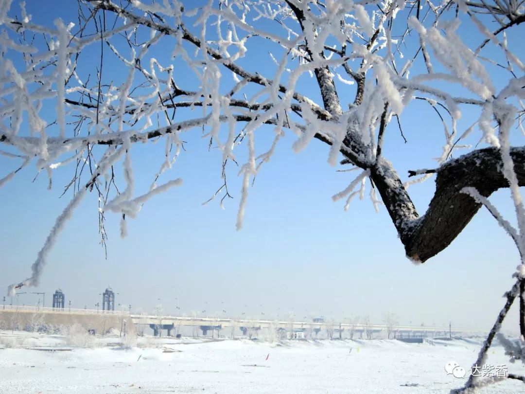 莫力达瓦有这样一个美丽的地方,美丽的莫力达瓦