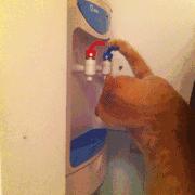 饮水机会不会自燃起火,饮水机引起火灾的原因