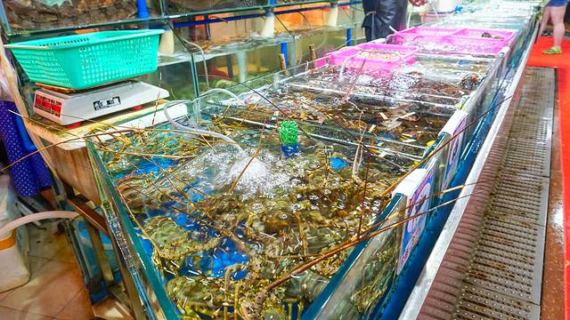 夏威夷之旅蔚蓝色的海,东方夏威夷海洋之心