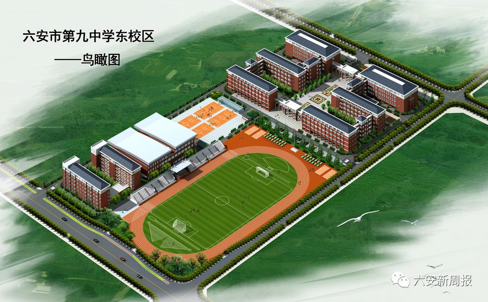 六安市最新学校事件,六安学校事件最新