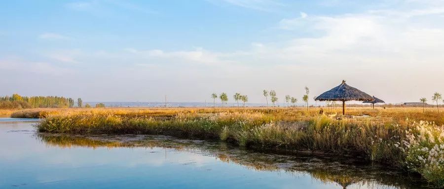 41℃高温来袭！6月白菜价机票来了！从郑州出发最低只要181元