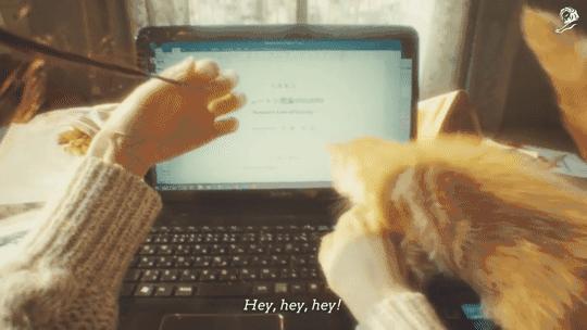 太荒诞了!这些时尚界的广告玩很大!