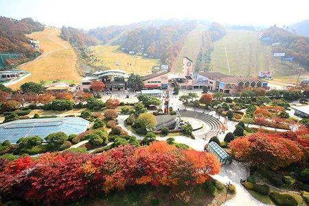 缁寸摝灏旂绾㈠彂绁炵埗,绾㈠彂绁炵埗缁寸摝灏旂