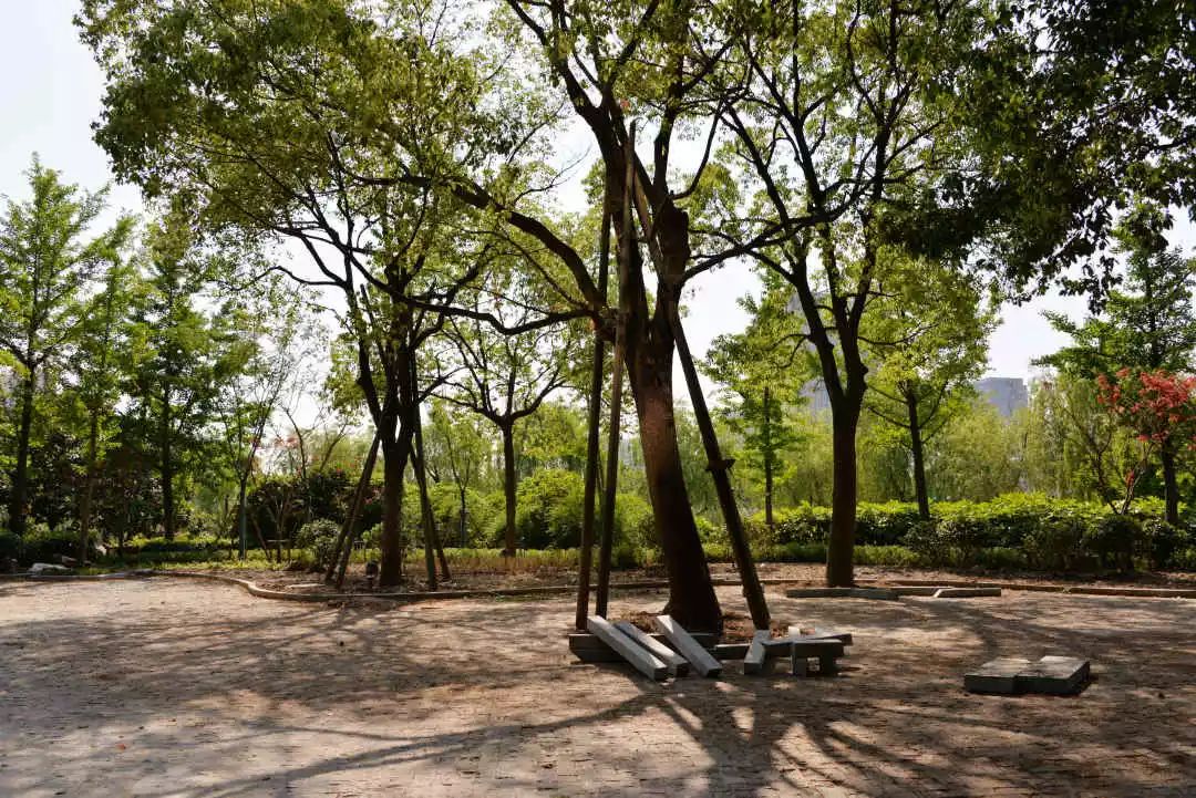 河滨公园开放最新通知,虹桥河滨公园