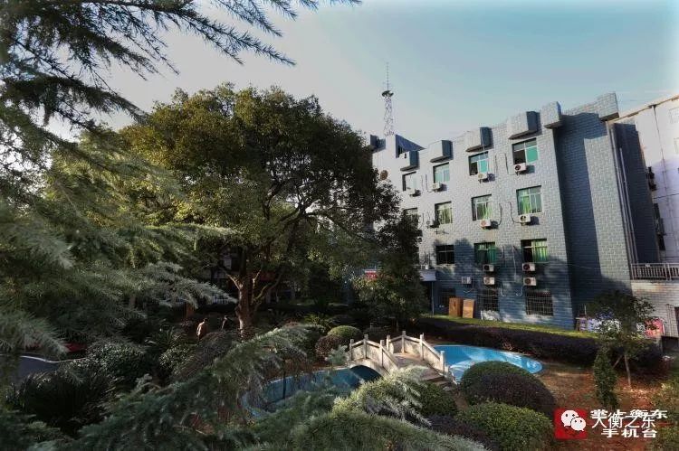 琛′笢鍘夸汉鎵嶆嫑鑱樹俊鎭綉,琛¢槼琛′笢鍘胯瀺濯掍綋涓績鎷涜仒