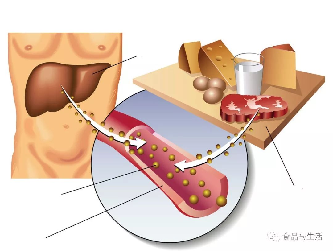 王医生降胆固醇,苗医生排毒