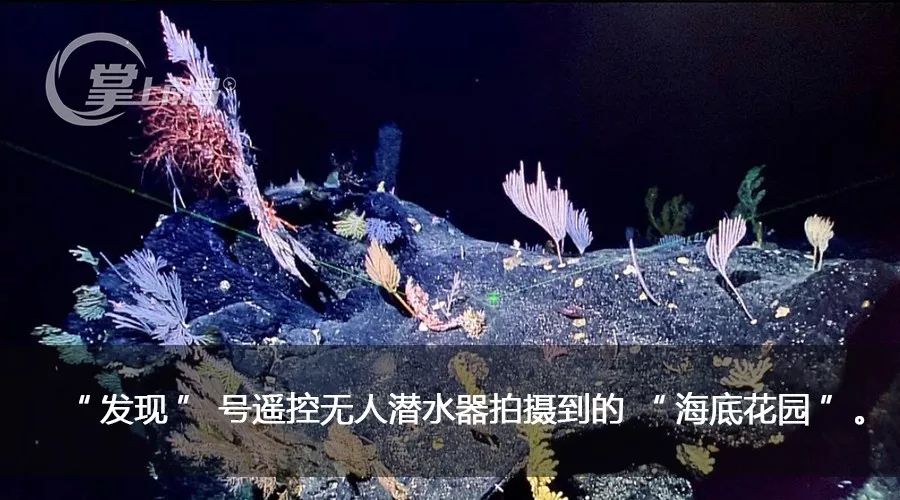 女子被骗200万却感激*子骗**：每天嘘寒问暖，治好抑郁症