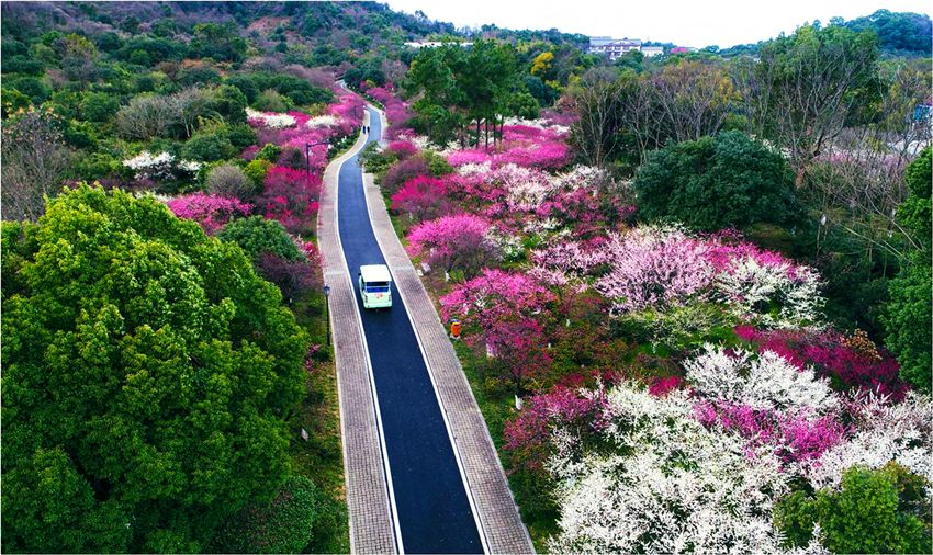 余杭免费的十大景点,老余杭附近游玩免费景点