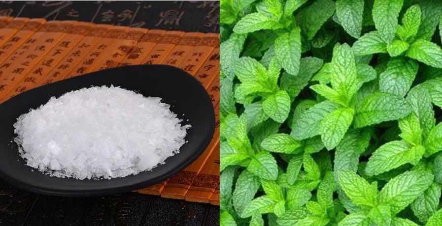 蚊虫叮咬快速止痒的中医方法,超好用的止痒消肿的药膏蚊虫叮咬