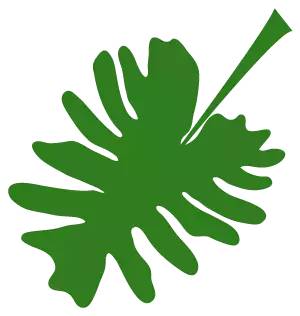 名企齐聚圈层,名企齐聚新东方