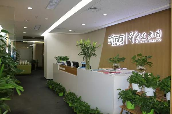 最近留学中介,留学中介流量入口