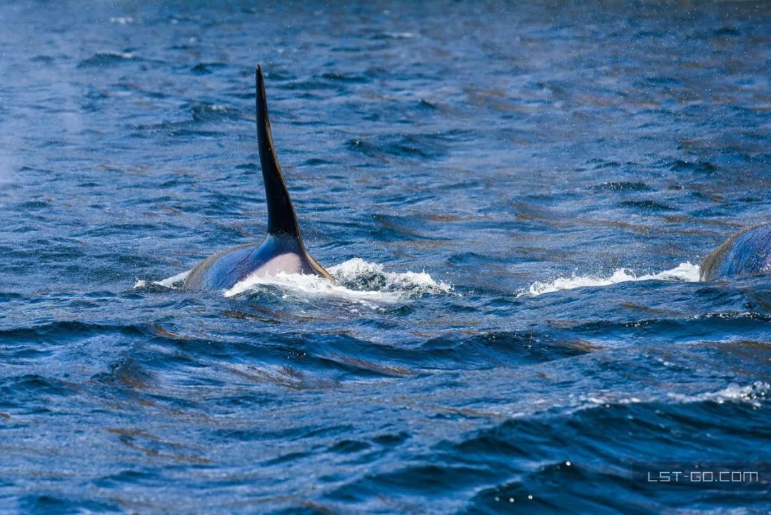 这些海岛人少景美不输马代,马尔代夫一价全包亲子游岛屿推荐