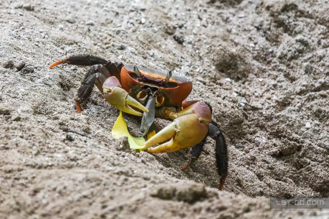这些海岛人少景美不输马代,马尔代夫一价全包亲子游岛屿推荐