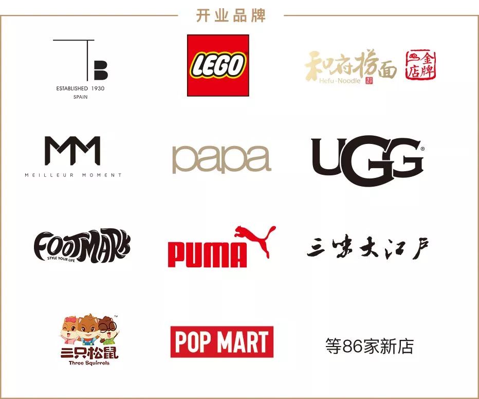 温州出现奇观,奇观浙江惊现漫天飞鱼