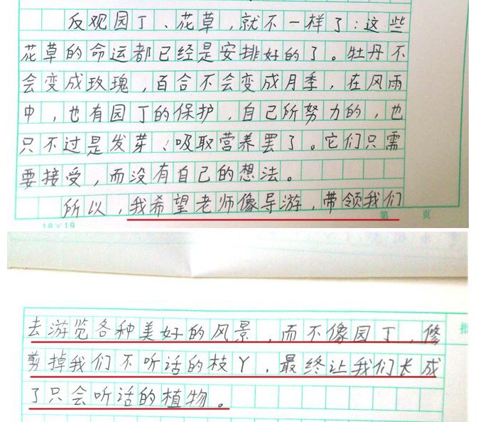 「宝贝们」知道自己有多“火”不？我们帮你盘一盘